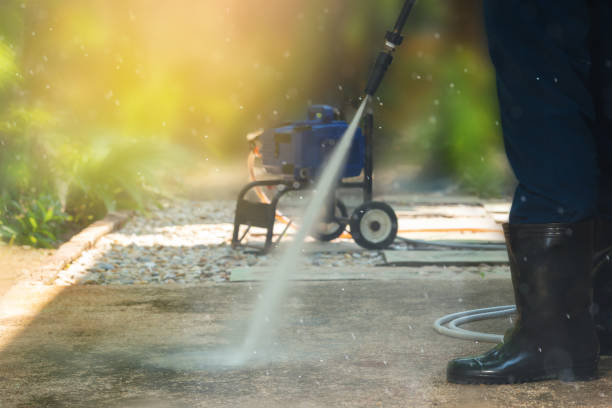 Best Solar Panel Cleaning  in Cleona, PA